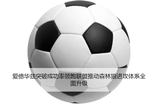 img_1783524625554_909_1_504.jpg